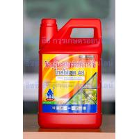 ราคา เรด ไกลโฟเสต48 ตราปีศาจ สูตรทนฝน IPA จากประเทศไต้หวัน ฆ่าหญ้าทั้งใบแคบใบกว้าง ออกฤทธิ์ดูดซึม ฆ่าหญ้าตายสนิทถึงรากถึงโคน (22146890521)