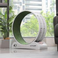 ราคา WMKลู่วิ่งแมว วงล้อแมววิ่ง ล้อวิ่งแมว ออกกำลังกายแมว ลู่วิ่งแมวออกกำลังกาย ลู่วิ่งแมวพลาสติก ลู่วิ่งสุนัข เงียบ (20133929039)