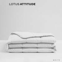 ราคา LOTUS ATTITUDE ปลอกผ้านวม รุ่น Basic สัมผัสนุ่มลื่น ความละเอียด 490 เส้นด้าย ส่งฟรี (20266967770)