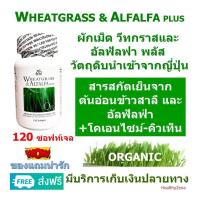 ราคา ผักเม็ด วีทกราสและอัลฟัลฟ่า สูตรดังเดิม ของแท้ 100 Wheatgrass Alfalfa Plus AMSTRONG ผักเม็ดแอมสตรอง วิทกราส อัลฟัลฟ่า พลัส และโคเอ็นไซม์ คิวเทน EXP 23 6 2027 (19583305838)