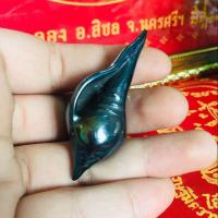 ราคา สังข์พระนารายณ์ เนื้อเหล็กไหลวัชระธาตุ (6474364665)