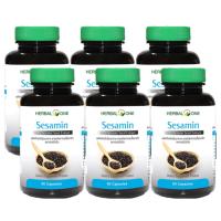 ราคา Sesamin Black งาดำ อ้วยอัน 60 Capsule x 6 ขวด Bottles (100169936)