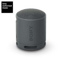 ราคา Sony SRS XB100 ลำโพงพกพา by munkong (20444917871)
