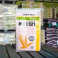 ราคา เมล็ดพันธุ์ข้าวโพดเลี้ยงสัตว์ NK 7321 3 5 หุน 10 kg ข้าวโพด เมล็ดพันธุ์ผัก เมล็ดพันธุ์พืช (24335105848)