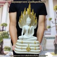 ราคา พระนาคปรก สีขาวปิดทองงดงาม หน้าตัก9นิ้ว องค์ใหญ่มาก บูชาแล้วชีวิตเจริญรุ่งเรือง ทำสิ่งใดก็เริ่มเย็นเป็นสุข พญานาคคุ้มครอง (15837088859)