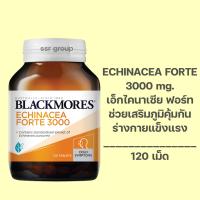 ราคา Blackmores Echinacea Forte 3000mg 120 Tab แบลคมอร์ส (24255418949)
