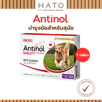 ราคา Antinol Dog แอนทินอล อาหารเสริมไขมัน บำรุงข้อ สำหรับสุนัข 1 กล่อง 60 เม็ด Vetz Petz (23042817437)