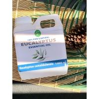 ราคา น้ำมันยูคาลิปตัสบริสุทธิ์ 100 Eucalyptus oil 120ml 450ml 1000 ml (9938263258)