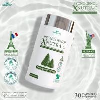 ราคา สารสกัดจากเปลือกสนมาริไทม์ จากฝรั่งเศส พิกโนจีนอล เอ็กซ์ นูทราซี 590 mg PYCNOGENOL X NUTRA C ตราวิษามิน จำนวน 1 กระปุก 30 แคปซูล (23077844781)