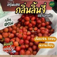 ราคา องุ่นแดงพรีเมียมกลิ่นลิ้นจี่ ไร้เมล็ด ตรานกแก้ว สด หวาน กรอบ ช่อใหญ่ กล่อง 4 กก ส่งฟรีแช่เย็น (20112805999)