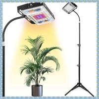 ราคา ZYMB Grow Light with Stand Full Spectrum LED Floor Plant Light for Indoor Plants Grow Lamp with On Off Switch (23815710187)