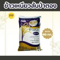 ราคา ข้าวเหนียว สันป่าตอง 40 กก 1ถุง (23807582508)