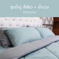 ราคา SANTA ชุด ผ้าปูที่นอน ผ้านวม ผ้าห่ม สีเทาอ่อน สีเขียว 3 5 5 6 ฟุต (5602994458)