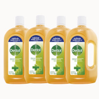 ราคา DETTOL น้ำยาทำความสะอาด น้ำยาฆ่าเชื้อโรค HYGIENE MULTI USE DISINFECTANT 750 ML (24658262410)