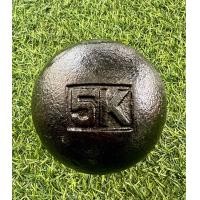 ราคา ลูกทุ่มน้ำหนัก FBT 59448 น้ำหนัก 5 กก 5 kgs สีดำ บรรจุ 1 ลูก (22510868283)