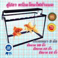 ราคา ตู้ปลา ตู้กระจก ขนาด 14 นิ้ว พร้อมไฟ บนตู้ AL 300P (517994646)