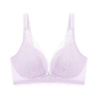 ราคา Triumph เสื้อชั้นในไม่มีโครง รุ่น Beauty Layer HU DV รหัส 10219890 สีม่วง 3905 (22769234610)