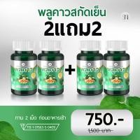 ราคา SN9พลูคาวสกัดเย็น 1แถม1 โรคผิวหนัง สะเก็ด คัน เชื้อรา กลากเกลื้อน พลูคาว คาวตอง พลูคาวแคปซูล พลูคาวสมุนไพร พลูคาวแท้ (23439965994)