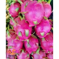 ราคา แก้วมังกร นำเข้าจากเวียดนามแท้ DRAGON FRUIT ยกลัง16ลูก นำเข้า Vietnam ลดพิเศษ สดใหม่ แคลอรี่ต่ำ ผลไม้สดๆ แก้วมังกรสีขาว ขายส่ง ราคาส่ง (1938844694)