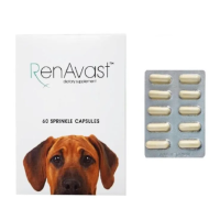 ราคา RenAvast DOG 60 capsules อาหารเสริม บำรุงไตสุนัข กระตุ้นการกินอาหาร บรรจุ 60 แคปซูล (24747619616)