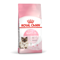 ราคา Royal Canin Mother Babycat 4kg 01 26 โรยัล คานิน อาหารเม็ด สำหรับแม่แมว ตั้งท้อง ให้นมลูก และลูกแมว 4 กิโลกรัม (24814994250)