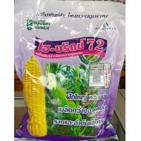 ราคา เมล็ดพันธุ์ข้าวโพดหวาน ไฮบริกซ์72 แปซิฟิค เมล็ด (24835812930)