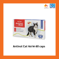 ราคา Antinol Cat 60 caps แอทินอล อาหารเสริม ลดอักเสบ บำรุงข้อ แมว ช่วยลดการระคายเคืองที่ผิวหนัง สารสกัดจากธรรมชาติ 60 caps แมว (24498487602)