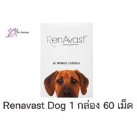 ราคา RenAvast Dog เรนอะวาสท์ อาหารเสริมโปรตีน บำรุงไต สุนัข หมา ค่าไตขึ้น โรคไต ไตเสื่อม Renal supplement for dog 1 กล่อง 60 แคปซูล (21364189931)