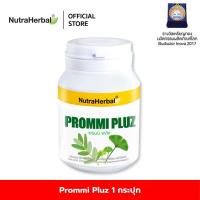 ราคา Prommi Pluz Thaidham สารสกัดจากพรมมิ ผสมสารสกัดจากใบแป๊ะก๊วยกรดโฟลิก วิตามิน บี 612 ไทยธรรม (10440829968)