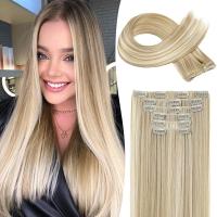 ราคา LONAI 6PCS Clip In Hair Extensions 24 Straight Synthetic Clip On Hairpiece For Women Natural Ash Blonde (23451129298)