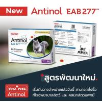 ราคา ยกกล่อง Antinol แมว cat 60 caps วิตามินบำรุงข้อสำหรับแมว แอนทินอล (20606821485)