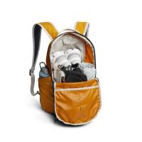 ราคา ออสเตรเลีย 18L Bellroy Lite Ready Pack กระเป๋าเป้สะพายหลังรูปร่างพัดลมน้ำหนักเบา กระเป๋าเป้สะพายหลังท่องเที่ยวฟิตเนสแฟชั่น (24653759762)
