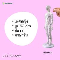 ราคา หุ่นจำลองจุดฝังเข็ม ขนาด 52 54 62cm หุ่นจำลองฝังเข็มได้ งานละเอียดพิเศษ Acupuncture Model By Fangkhem (22956016731)