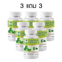 ราคา 1แถม1 Ginkgo Biloba Extract Plus สารสกัดจากใบแปะก๊วย พลัส จิงโกะ ตรา บลูเบิร์ด 600 mg 60cps (23375218463)