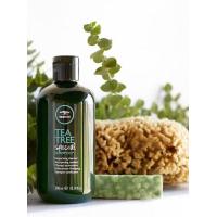 ราคา Paul Mitchell Tea Tree Special Shampoo พอลมิทเชล ที ทรี สเปเชียลแชมพู 300 ml (657808219)