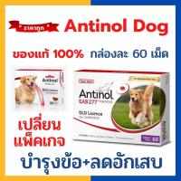 ราคา Antinol For Dog 60 Cap อาหารเสริมบำรุงข้อสำหรับสุนัข 1กล่อง บรรจุ 60 เม็ด Exp 08 2027 (24699196345)