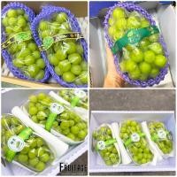 ราคา องุ่นไซมัสคัส 1ช่อ Shine Muscat Grape KOR CHN 샤인 무스카트 ลดพิเศษ องุ่นเขียวไร้เมล็ด ไร้เม็ด องุ่นไชน์มัสคัส องุ่นไชน์มัสแคท ตรานกแก้ว HFT (15016416496)