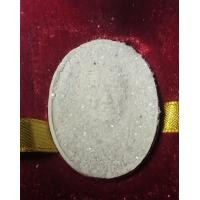 ราคา หลวงปู่ดู่ วัดสะเเก อยุธยา พระผงรูปเหมือนหน้าตรงครึ่งองค์ ขื้นผลึกพระธาตุ เซียนนิยม ด้านหลังเนื้อสังขยา ประทับตราวัด ขึ้นผลึกพระธาตุ คัดสวย ตรงปก (21081434422)