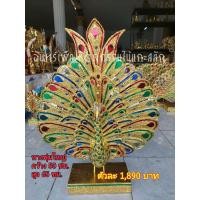 ราคา นกยูงกฐิน นกยูงพุ่มกฐิน นกยูงทอง (17871390973)