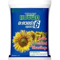 ราคา เมล็ดทานตะวัน อะควอร่า 6 ตราแปซิฟิค 1 กก ทนแล้ง ดอกใหญ่ ให้ผลผลิตสูง เมล็ดติดเต็มจานดอก (16247361142)