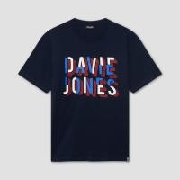 ราคา DAVIE JONES เสื้อยืด Logo Regular Fit T Shirt LG0132 สีกรม เขียวอ่อน (24723704015)