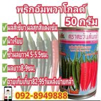 ราคา เมล็ดพันธุ์พริกอัมพวาโกลด์ ผลสุกสีแดงสดเป็นวาว ติดผลดกสม่ำเสมอ ขนาด 50กรัม พริกขี้หนูอัมพวาโกลด์ ส่งฟรี (19947286191)