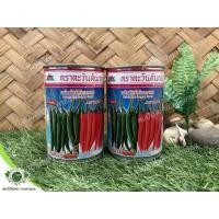 ราคา เมล็ดพันธุ์ พริกอัมพวา โกลด์ ตราตะวันต้นกล้า (15424734280)