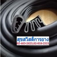 ราคา Woww สุดคุ้ม ยางหีบเพลงแครี่บอย ยางรอยต่อหลังคารถ แบบสำเร็จรูป ราคาโปร คิ้ว ประตู รถ คิ้ว กระจก รถยนต์ คิ้ว กันสาด รถ คิ้ว กัน ฝน รถยนต์ (17762394984)