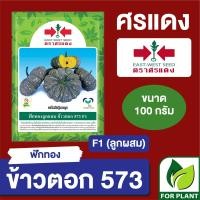 ราคา เมล็ดพันธุ์ ศรแดง BIG ฟักทอง ข้าวตอก 573 ขนาด 100 กรัม (17732537129)
