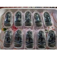 ราคา แร่เหล็กไหลไพรดำ (24067031112)