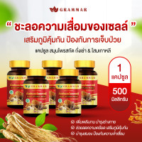 ราคา ของแท้ ถังเช่า Grammar ถั่งเช่าแท้ผสมโสมเกาหลี เห็ดหลินจือ เจียวกู่หลาน ตังกุย กระชายดำ 1 กระปุก 30 แคปซูล ล็อตใหม่ ส่งฟรี ของแท้จากบริษัท (24474837276)