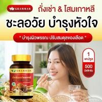 ราคา ส่งทุกวัน ถังเช่า Grammar ถั่งเช่าแท้ผสมโสมเกาหลี เห็ดหลินจือ เจียวกู่หลาน ตังกุย กระชายดำ 1 กระปุก 30 แคปซูล ล็อตใหม่ ส่งฟรี ของแท้จากบริษัท (24475327108)