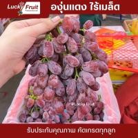 ราคา องุ่นแดงไร้เมล็ด ตะกร้า 4 5 กิโล ชั่งรวมตะกร้า หวาน กรอบ (19930266625)