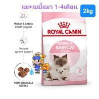 ราคา Royal Canin Kitten 2kg Exp 2026ปีหน้า Mother Babycat 2kg Exp 2026ปีหน้า โรยัลคานิน อาหารแม่แมว ลูกแมว ถุงขนาด 2 กิโลกรัม (16492218340)